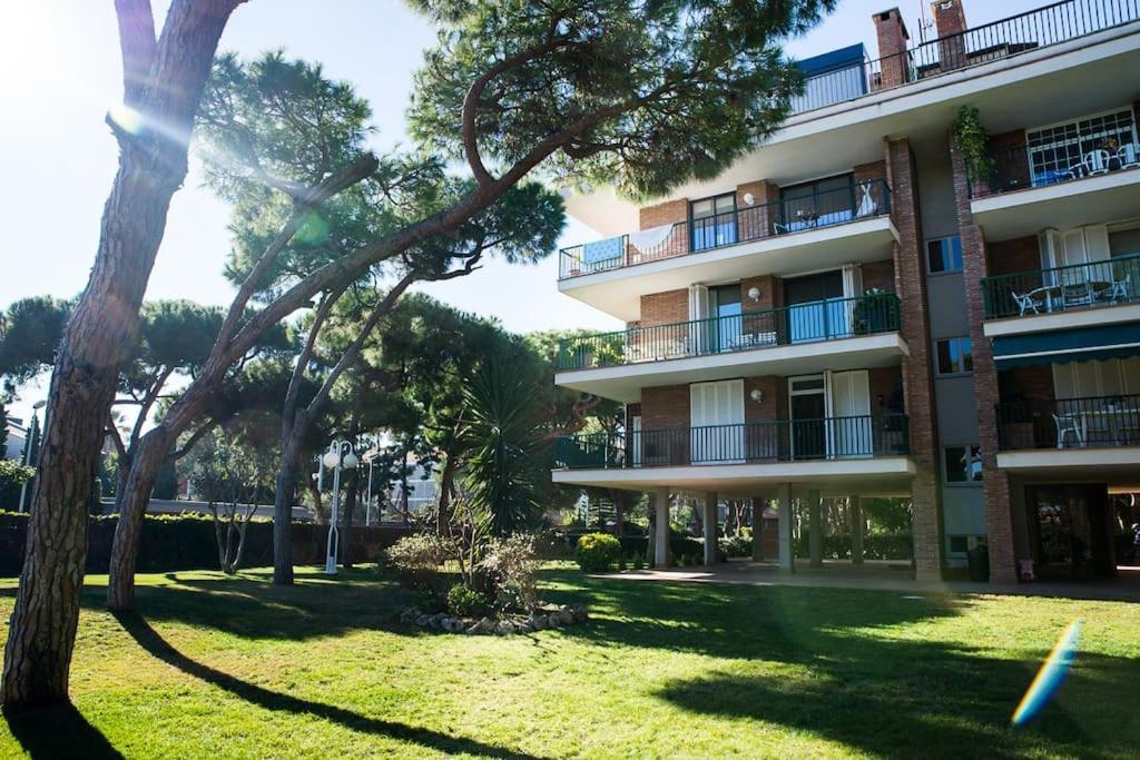 Wonderful In Gava. Barcelona *