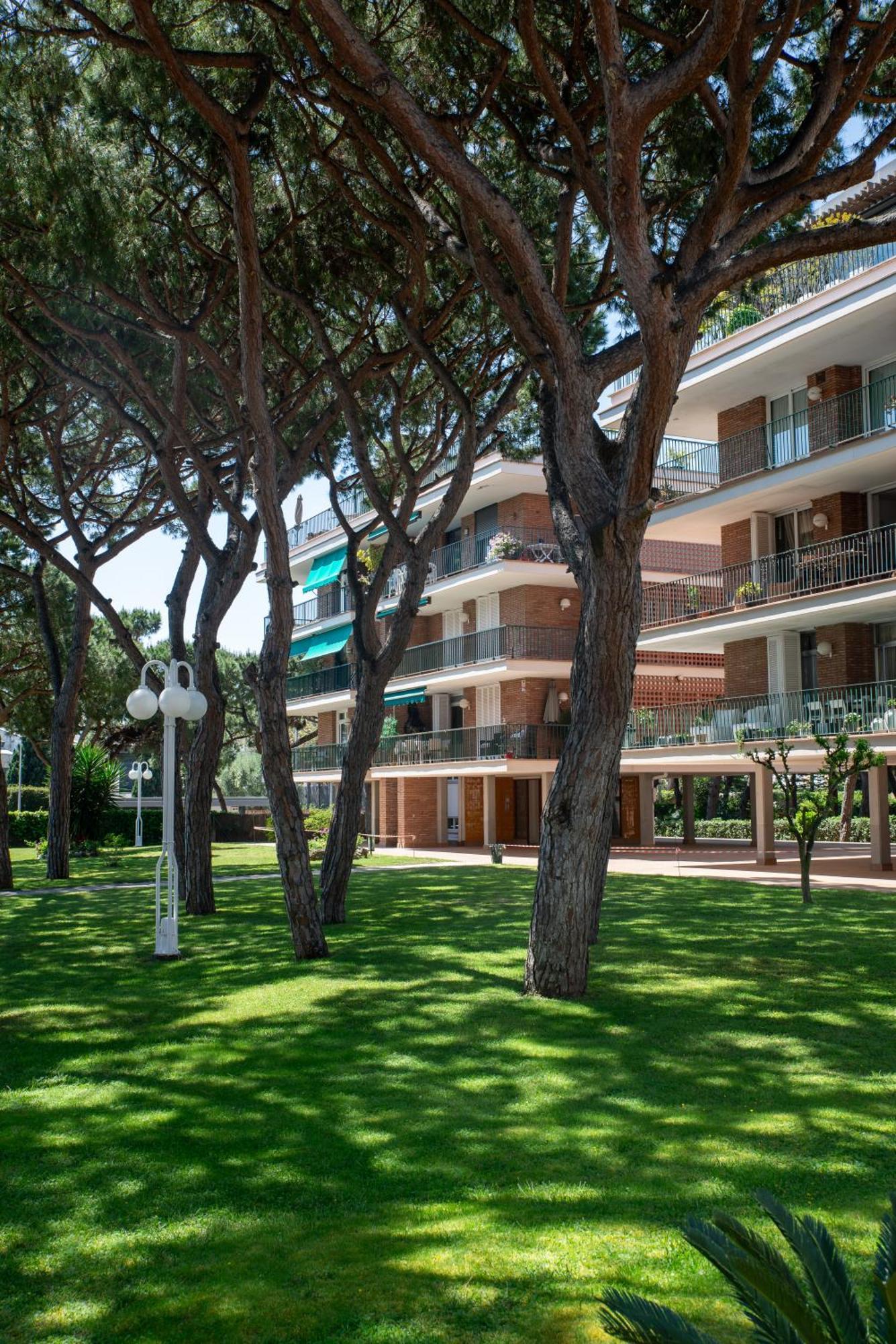 Wonderful In Gava. Barcelona *